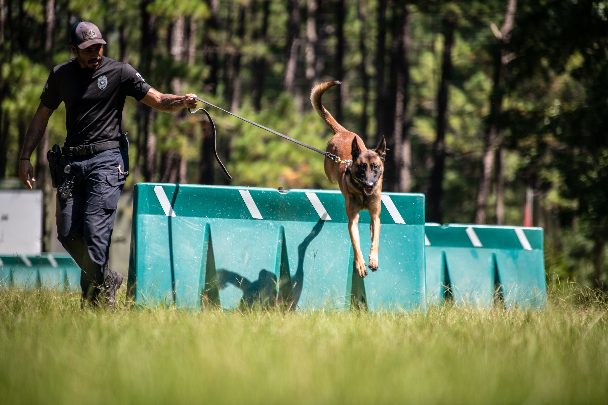 ncpd-k-9-unit-trains-at-naval-weapons-station-city-of-north